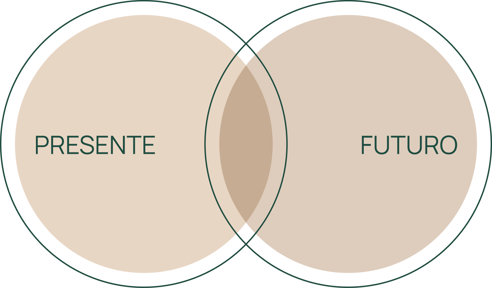Brand Strategy
